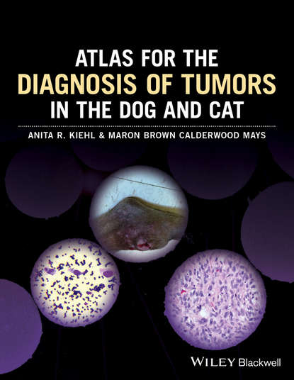 Скачать книгу Atlas for the Diagnosis of Tumors in the Dog and Cat