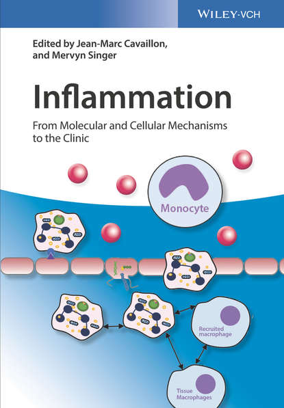 Скачать книгу Inflammation. From Molecular and Cellular Mechanisms to the Clinic