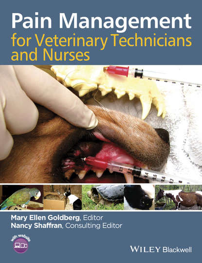 Скачать книгу Pain Management for Veterinary Technicians and Nurses