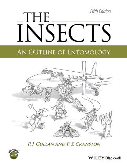 Скачать книгу The Insects. An Outline of Entomology