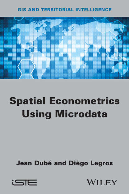 Скачать книгу Spatial Econometrics using Microdata