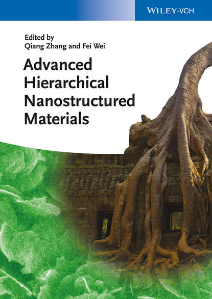 Скачать книгу Advanced Hierarchical Nanostructured Materials