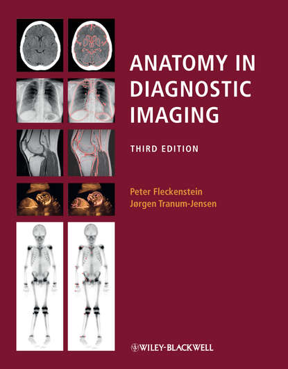 Скачать книгу Anatomy in Diagnostic Imaging