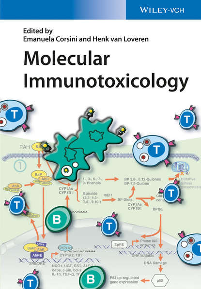 Скачать книгу Molecular Immunotoxicology