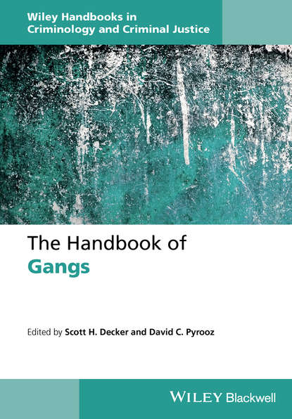 Скачать книгу The Handbook of Gangs