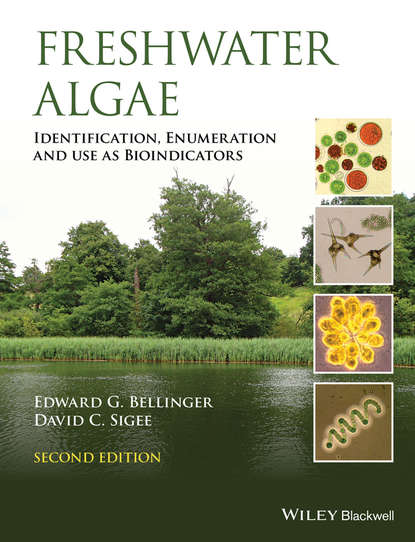 Скачать книгу Freshwater Algae. Identification, Enumeration and Use as Bioindicators