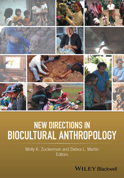 Скачать книгу New Directions in Biocultural Anthropology