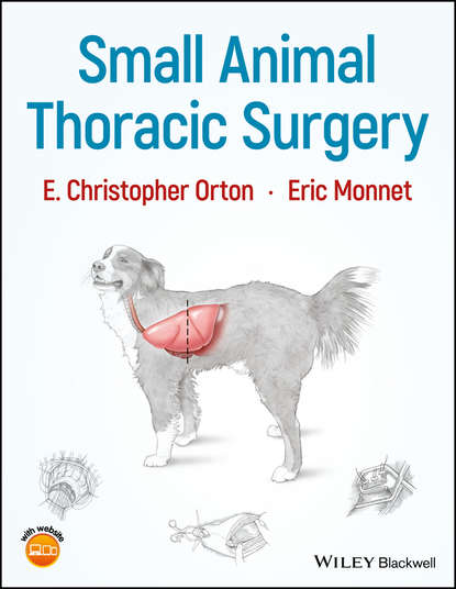 Скачать книгу Small Animal Thoracic Surgery
