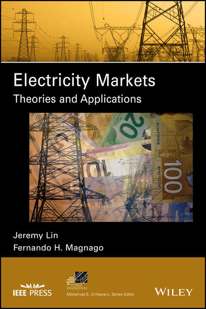 Скачать книгу Electricity Markets. Theories and Applications