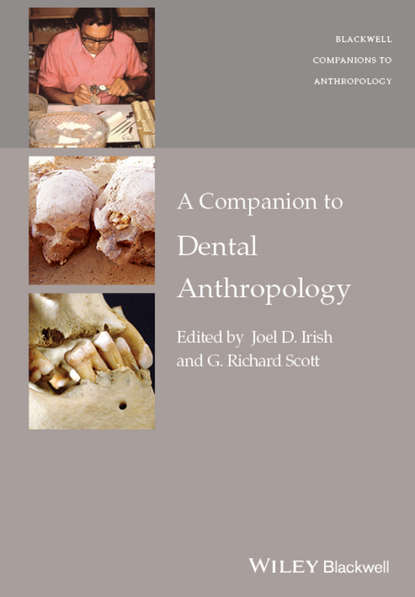 Скачать книгу A Companion to Dental Anthropology
