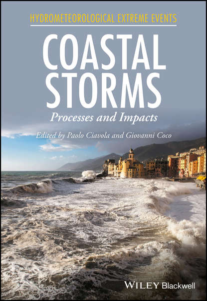 Скачать книгу Coastal Storms. Processes and Impacts