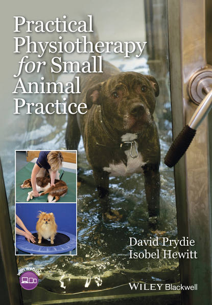 Скачать книгу Practical Physiotherapy for Small Animal Practice