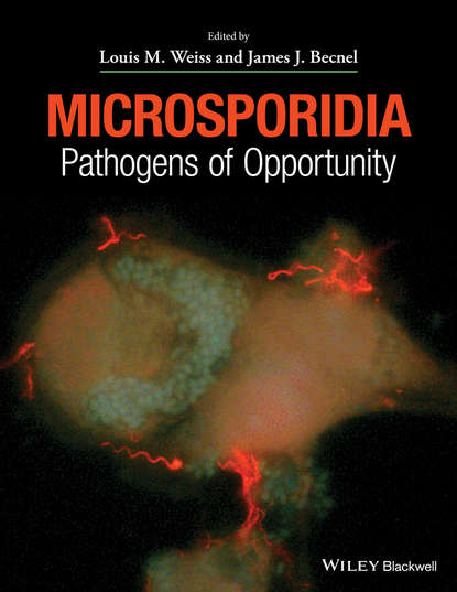 Скачать книгу Microsporidia. Pathogens of Opportunity