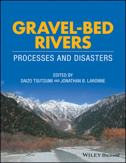 Скачать книгу Gravel-Bed Rivers. Process and Disasters