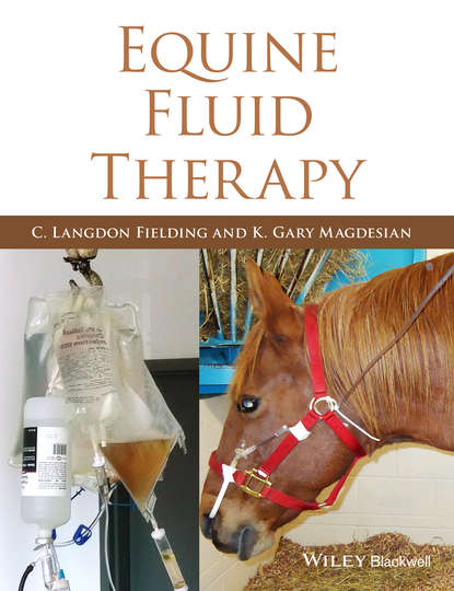 Скачать книгу Equine Fluid Therapy