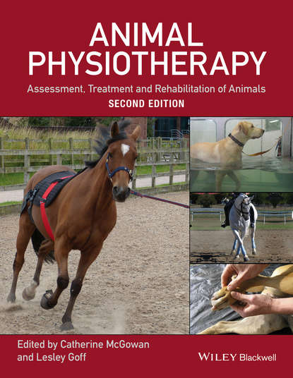 Скачать книгу Animal Physiotherapy. Assessment, Treatment and Rehabilitation of Animals