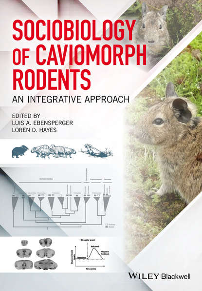 Скачать книгу Sociobiology of Caviomorph Rodents. An Integrative Approach