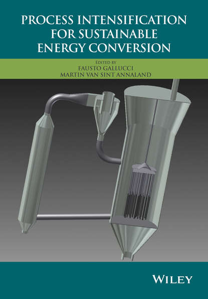 Скачать книгу Process Intensification for Sustainable Energy Conversion