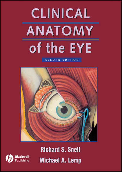 Скачать книгу Clinical Anatomy of the Eye