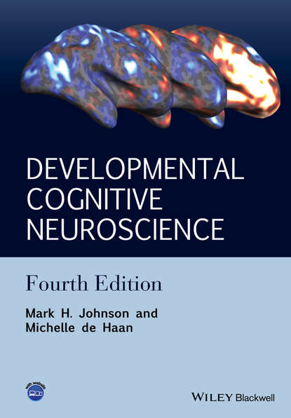 Скачать книгу Developmental Cognitive Neuroscience. An Introduction