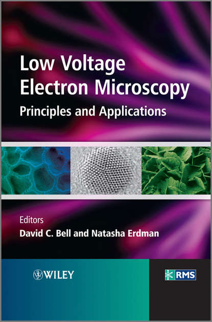 Скачать книгу Low Voltage Electron Microscopy. Principles and Applications