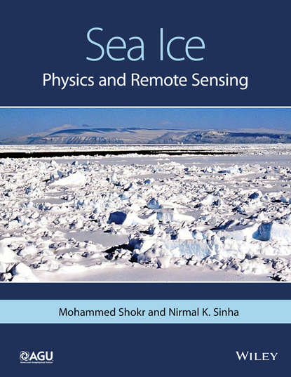 Скачать книгу Sea Ice. Physics and Remote Sensing