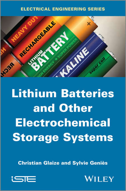 Скачать книгу Lithium Batteries and other Electrochemical Storage Systems