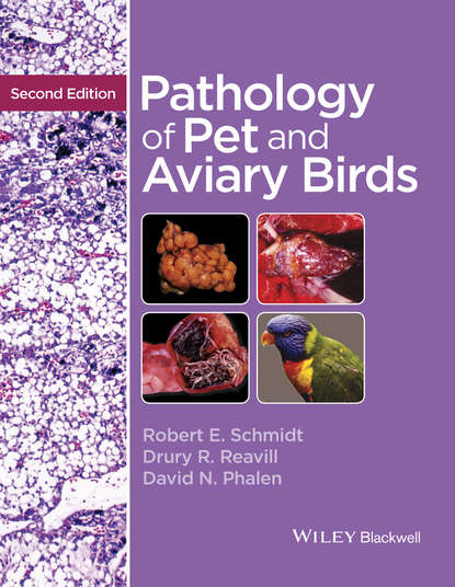 Скачать книгу Pathology of Pet and Aviary Birds
