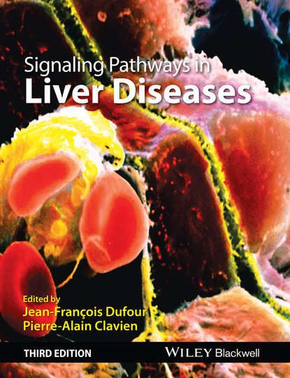 Скачать книгу Signaling Pathways in Liver Diseases