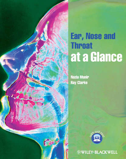 Скачать книгу Ear, Nose and Throat at a Glance