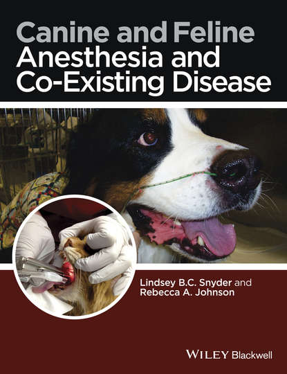 Скачать книгу Canine and Feline Anesthesia and Co-Existing Disease