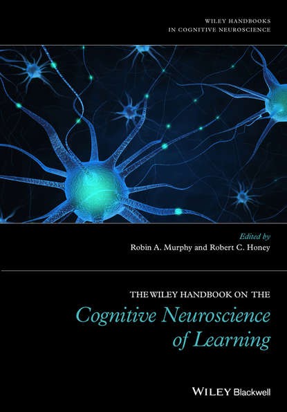 Скачать книгу The Wiley Handbook on the Cognitive Neuroscience of Learning