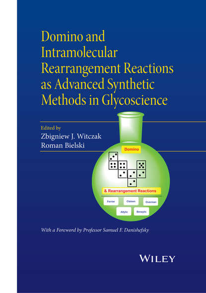 Скачать книгу Domino and Intramolecular Rearrangement Reactions as Advanced Synthetic Methods in Glycoscience