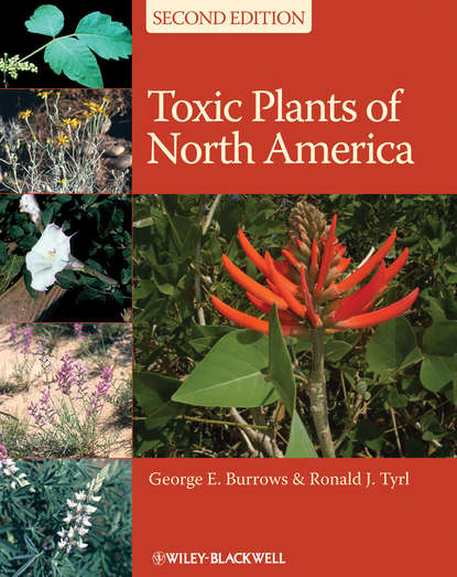 Скачать книгу Toxic Plants of North America
