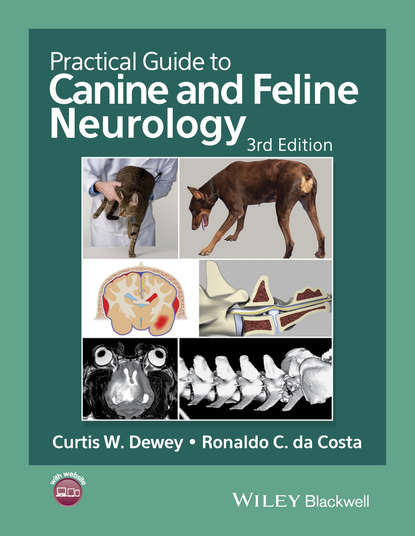 Скачать книгу Practical Guide to Canine and Feline Neurology