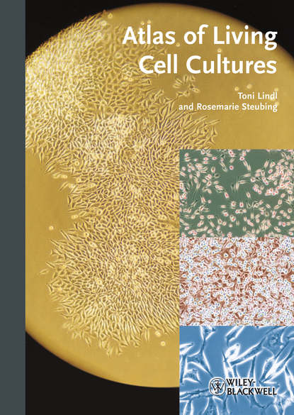 Скачать книгу Atlas of Living Cell Cultures