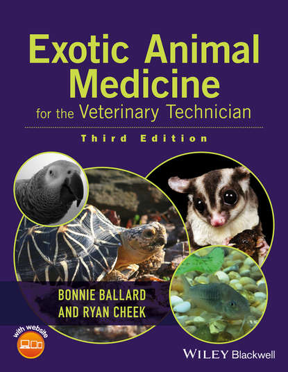 Скачать книгу Exotic Animal Medicine for the Veterinary Technician