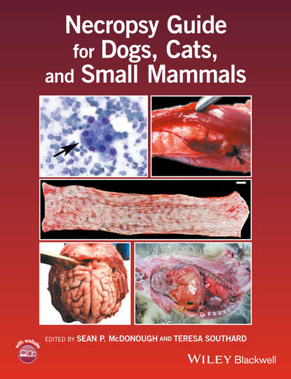 Скачать книгу Necropsy Guide for Dogs, Cats, and Small Mammals
