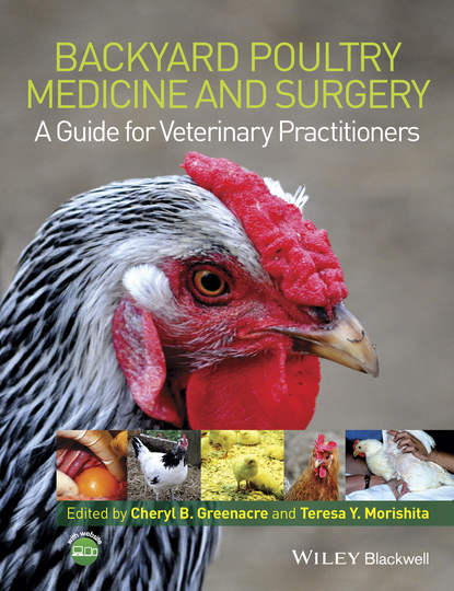 Скачать книгу Backyard Poultry Medicine and Surgery. A Guide for Veterinary Practitioners
