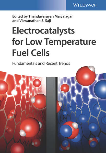 Скачать книгу Electrocatalysts for Low Temperature Fuel Cells. Fundamentals and Recent Trends