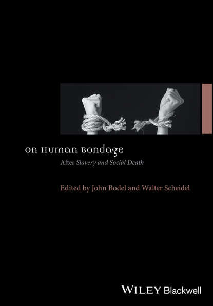 Скачать книгу On Human Bondage. After Slavery and Social Death
