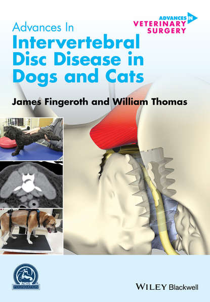 Скачать книгу Advances in Intervertebral Disc Disease in Dogs and Cats