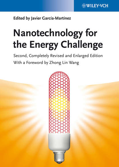 Скачать книгу Nanotechnology for the Energy Challenge
