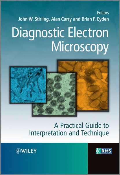 Скачать книгу Diagnostic Electron Microscopy. A Practical Guide to Interpretation and Technique