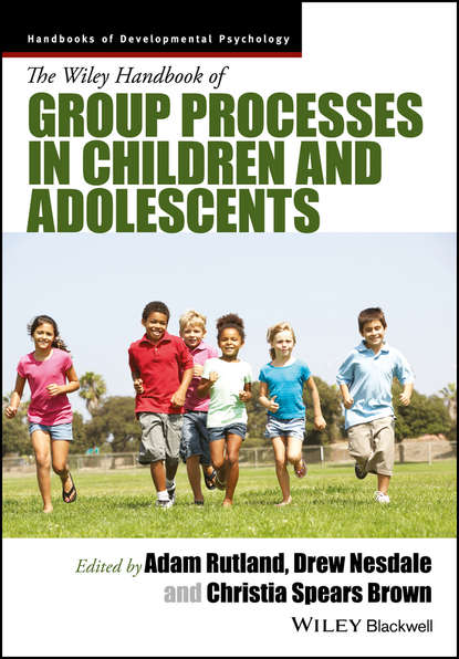 Скачать книгу The Wiley Handbook of Group Processes in Children and Adolescents