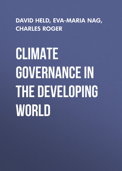 Скачать книгу Climate Governance in the Developing World