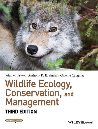 Скачать книгу Wildlife Ecology, Conservation, and Management