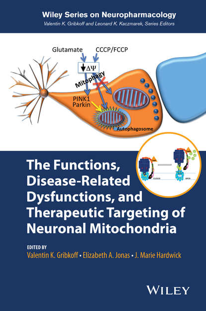 Скачать книгу The Functions, Disease-Related Dysfunctions, and Therapeutic Targeting of Neuronal Mitochondria