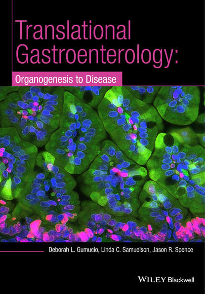 Скачать книгу Translational Research and Discovery in Gastroenterology. Organogenesis to Disease