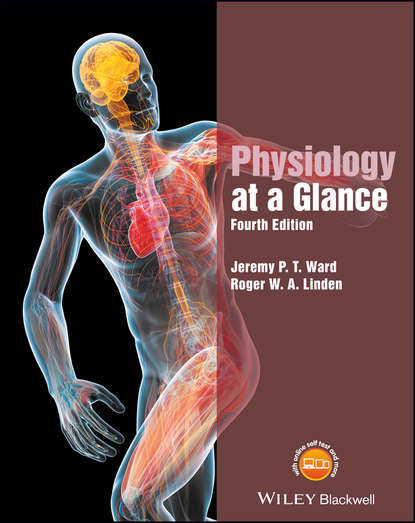 Скачать книгу Physiology at a Glance